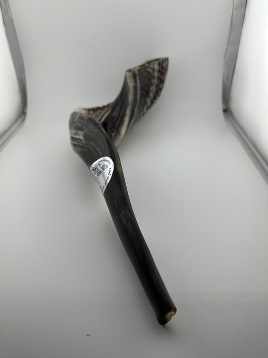 Supreme Ultra-High Quality Shofar (001)