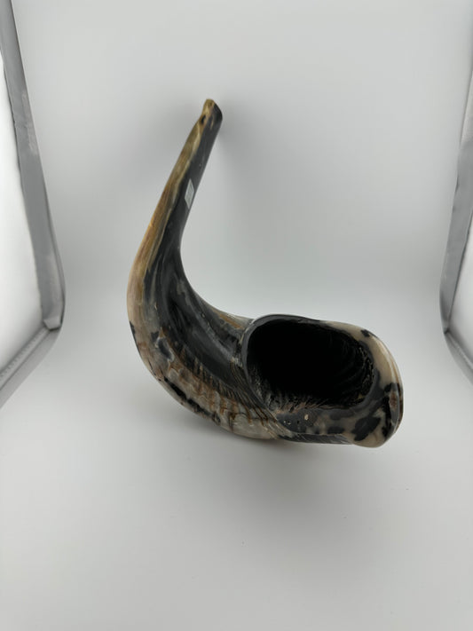 Supreme High Quality Shofar (005)