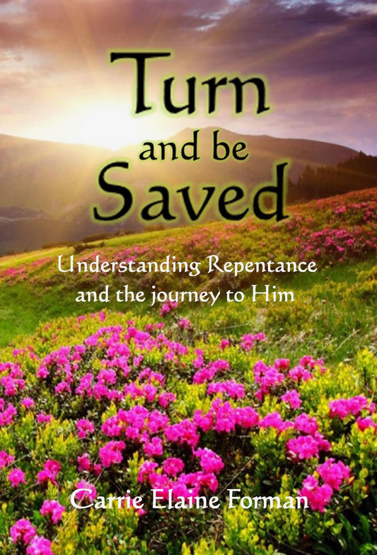Turn and be Saved - Understanding Repentance and the journey to Him